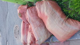 동네 한바퀴 - 우리동네 이모저모 - 쌍용2동주민자치센터 동네 한바퀴