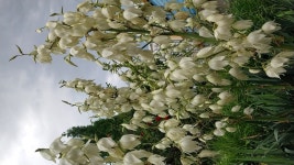 6월19일 - 우리동네 이모저모 - 쌍용2동주민자치센터 6월19일