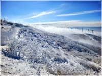 제239차 2026 병오년 첫 강원도 횡성 태기산 눈꽃산행공지의 건!... 공시) - 대구건우산악회 제239차 2026 병오년 첫 강원도 횡성 태기산 