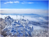 제239차 2026 병오년 첫 강원도 횡성 태기산 눈꽃산행공지의 건!... 공시) - 대구건우산악회 제239차 2026 병오년 첫 강원도 횡성 태기산 