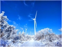 제239차 2026 병오년 첫 강원도 횡성 태기산 눈꽃산행공지의 건!... 공시) - 대구건우산악회 제239차 2026 병오년 첫 강원도 횡성 태기산 