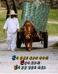 진짜 너무 좋은 글 - 자유 게시판 - 밀양 상남초등학교 총동창회 진짜 너무 좋은 글