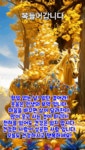꽃보다도 더 예쁜 꽃은 - 자유 게시판 - 밀양 상남초등학교 총동창회 꽃보다도 더 예쁜 꽃은