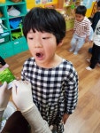 구강보건교육 - ▣행사.현장학습사진。 - 제주 해뜨는 어린이집 (공공형) 구강보건교육