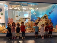 슬기로운반 자연사박물관 - ▣행사.현장학습사진。 - 제주 해뜨는 어린이집 (공공형) 슬기로운반 자연사박물관