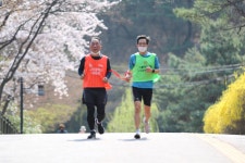 남산 벚꽃길 런 4 - 훈련사진 - VMK한국시각장애인마라톤회 남산 벚꽃길 런 4