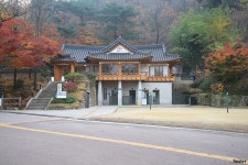 1년 20일 만에 다시 찾은 남산 - 훈련사진 - VMK한국시각장애인마라톤회 1년 20일 만에 다시 찾은 남산