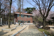 남산 벚꽃길 런 4 - 훈련사진 - VMK한국시각장애인마라톤회 남산 벚꽃길 런 4