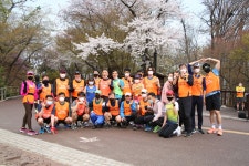 남산 벚꽃길 런 1 - 훈련사진 - VMK한국시각장애인마라톤회 남산 벚꽃길 런 1