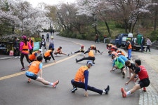남산 벚꽃길 런 1 - 훈련사진 - VMK한국시각장애인마라톤회 남산 벚꽃길 런 1