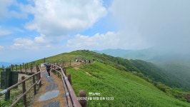 2025년 6월 정기산행 ~소백산 (국망봉 ~ 어의곡탐방소) - 정기산행앨범 - 조치원우성산악회 2025년 6월 정기산행 ~소백산 (국망봉 ~ 어의곡탐방소)