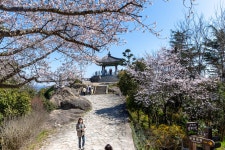 22.4.2~3일 목포유달산해상케이불카. - 『개인 사진방 』 - 서산시 동문동산악회 22.4.2~3일 목포유달산해상케이불카.