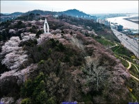 군산 월명공원에서 본 드론영상 - 사진반활동 - 상현컴동호회 군산 월명공원에서 본 드론영상