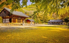 ■ 반야포교사회 11월 사찰순례 ■ - 산사순례 - 범어사금정불교대학13학번 수지회 ■ 반야포교사회 11월 사찰순례 ■