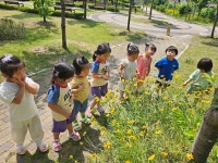 귀여운 2반🌈🌷6/9~6/10월화 - 귀여운 2반 (4세) - 큰꿈을 꾸며 놀자 ♥큰꿈어린이집♥ 귀여운 2반🌈🌷6/9~6/10월화