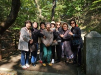 보은대추축제 - 내 고향 소식 - 보은삼산 초등 52회 보은대추축제