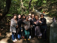 보은대추축제 - 내 고향 소식 - 보은삼산 초등 52회 보은대추축제