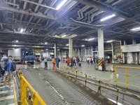 217차 정기산행 한라산 성판악~ 관음사 - 앨범 - 정심등산회 217차 정기산행 한라산 성판악~ 관음사