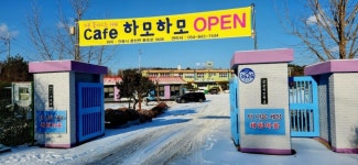 뮤직갤러리 카페 하모하모 송년음악회 - 예음행사/이벤트/공연소식 - 예음문화예술마당 뮤직갤러리 카페 하모하모 송년음악회