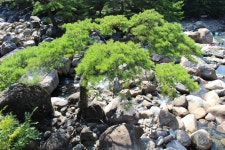 제521차 지리산 칠선계곡 산행 안내 23년07월16일 일요일 - ≫--조은♤정기산행안내 - the-조은산우회 제521차 지리산 칠선계곡 산행... 