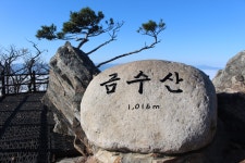 제584차 충북 제천 금수산 산행 안내 26년 5월17일 04:00출발 - ≫--조은♤정기산행안내 - 더-조은산우회 제584차 충북 제천 금수산 산행... 
