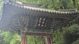 250622무등산행 - 무등산 四季.옛길 - 빛고을예술단 250622무등산행