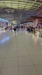 귀국길-태국 수완나품 공항 엄청 크네250821 - 해외24=중국5/호주... 빛고을예술단 귀국길-태국 수완나품 공항 엄청 크네250821