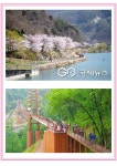 2026년 05월 03일 춘천백두산악회 431차 증평리 좌구산... [산행신청]-◆ - 춘천백두산악회 2026년 05월 03일 춘천백두산악회 431차 증평리... 