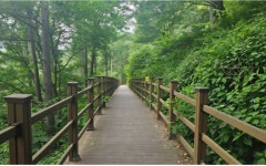 2026년 9월6일 백두산악회 정기산행 438차 증평리 좌구산 회비 60.000... 정기산행 438차 증평리 좌구산 회비 60.000 출발 만남의숲 앞 7시출발