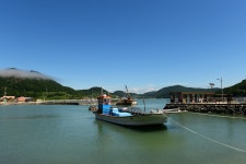 고흥 나로도 쑥섬 여행 - :♣: 명산 산행사진 - 수원명산산악회 고흥 나로도 쑥섬 여행
