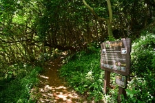 고흥 나로도 쑥섬 여행 - :♣: 명산 산행사진 - 수원명산산악회 고흥 나로도 쑥섬 여행