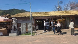 26.04.05하동 화개장터.쌍계사 십리벚꽃길 - :♣: 명산 산행사진 - 수원명산산악회 26.04.05하동 화개장터.쌍계사 십리벚꽃길
