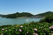 고흥 나로도 쑥섬 여행 - :♣: 명산 산행사진 - 수원명산산악회 고흥 나로도 쑥섬 여행
