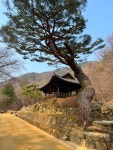 문경새재 선비길(장원급제길) 왕과사는 남자 영화 촬영지 - :♣:5월31일(일) 문경새재 선비길... 문경새재 선비길(장원급제길) 왕과사는 남자... 