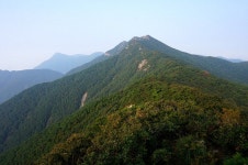 2025년 11월 30일(일).전남 담양 병풍산, 삼인산 산행 안내(한성 기준 06시 30분 출발) - 일요 / 산행 신청방 - 안양산죽산악회 (안양산죽회)... 