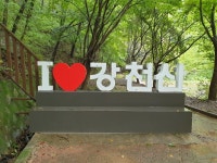 2022년 11월13일 일요일 강천산(583.7m) 산행안내 - 일요 / 산행... (안양산죽회) 2022년 11월13일 일요일 강천산(583.7m) 산행안내