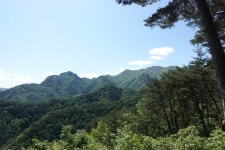 2022년 08월 07(일). 소백산 9봉 8문(득도의길) 산행 안내(1) - 일요 / 산행 신청방 - 안양산죽산악회 (안양산죽회) 2022년 08월 07(일)... 