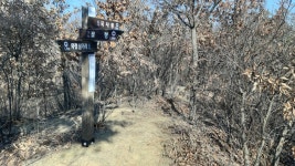 2022년 6월 19일(일요일) 대청호 오백리길 제7구간 (부소담악길) 안내 - 일요 / 산행 신청방 - 안양산죽산악회 (안양산죽회) 2022년 6월 19일... 