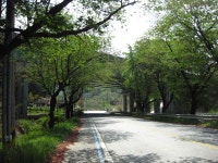 2022년 10월 16일(일요일) 대청호 오백리길 제9구간 (지용향수길) 안내 - 일요 / 산행 신청방 - 안양산죽산악회 (안양산죽회) 2022년 10월 16일... 