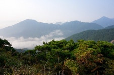 2025년 11월 30일(일).전남 담양 병풍산, 삼인산 산행 안내(한성 기준 06시 30분 출발) - 일요 / 산행 신청방 - 안양산죽산악회 (안양산죽회)... 