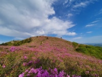 2022년 5월7일(토) 토요산행 제암산, 사자산, 일림산. 철쭉 산행안내... 2022년 5월7일(토) 토요산행 제암산, 사자산, 일림산. 철쭉 산행안내