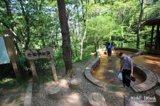 22년7월17일(일요일) 대전 계족산 황톳길(맨발걷기) 산행 안내 - 일요 / 산행 신청방 - 안양산죽산악회 (안양산죽회) 22년7월17일(일요일) 대전... 
