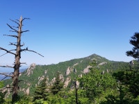 2021년 10월 24힐(일).설악산 서북능선 종주 산행 안내 - 일요 / 산행 신청방 - 안양산죽산악회 (안양산죽회) 2021년 10월 24힐(일).설악산... 