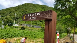 2021년 07월04일(일),횡성 발교산. 병무산 산행 안내(산행 취소합니다) - 일요 / 산행 신청방 - 안양산죽산악회 (안양산죽회) 2021년 07월04일... 