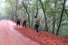 22년7월17일(일요일) 대전 계족산 황톳길(맨발걷기) 산행 안내 - 일요... 22년7월17일(일요일) 대전 계족산 황톳길(맨발걷기) 산행 안내