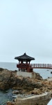 24년 1월27일(토) 해파랑길 21구간(궁촌레일바이크역~죽서루)트레킹안내 - 해파랑길 / 2기 신청방 - 안양산죽산악회 (안양산죽회) 24년 1월27일... 