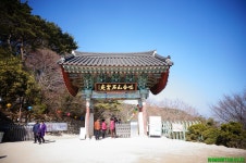 2022년 04월 03일(일).경주 토함산 산행 안내 - 일요 / 산행 신청방 - 안양산죽산악회 (안양산죽회) 2022년 04월 03일(일).경주 토함산 산행 안내