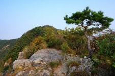 2025년 11월 30일(일).전남 담양 병풍산, 삼인산 산행 안내(한성 기준 06시 30분 출발) - 일요 / 산행 신청방 - 안양산죽산악회 (안양산죽회)... 