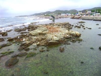 22년 12월31일(토) 그린캠핑장~연오랑세오녀공원(새해해맞이행사)(한성병원 1일 새벽 1시출발) - 해파랑길 / 2기 신청방 - 안양산죽산악회... 