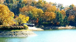 2023년 10월22일(일) 대청호 청남대 대통령길 트래킹 및 탐방 안내(2호차 증차) - 일요 / 산행 신청방 - 안양산죽산악회 (안양산죽회) 2023년... 